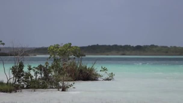 Beautiful Color Lagoon Bacalar Mexico — Stock Video