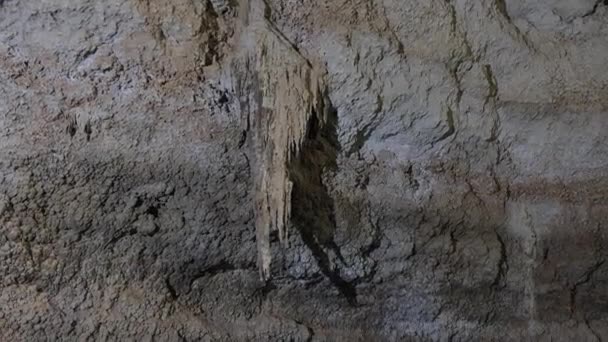 Cenote Dos Ojos Hermosas Cuevas Llenas Estalagmitas México — Vídeos de Stock