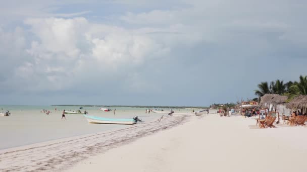 Holbox Adası Meksika Güzel Bir Sahil Telifsiz Stok Video