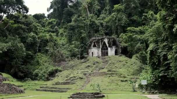 Palenque Meksika Daki Maya Harabeleri — Stok video