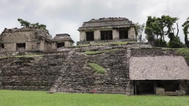 Maya Ruiner Palenque Mexiko — Stockvideo