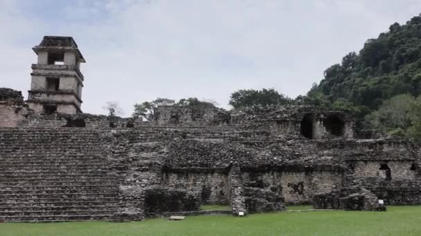 パレンケ メキシコのマヤ遺跡 — ストック動画