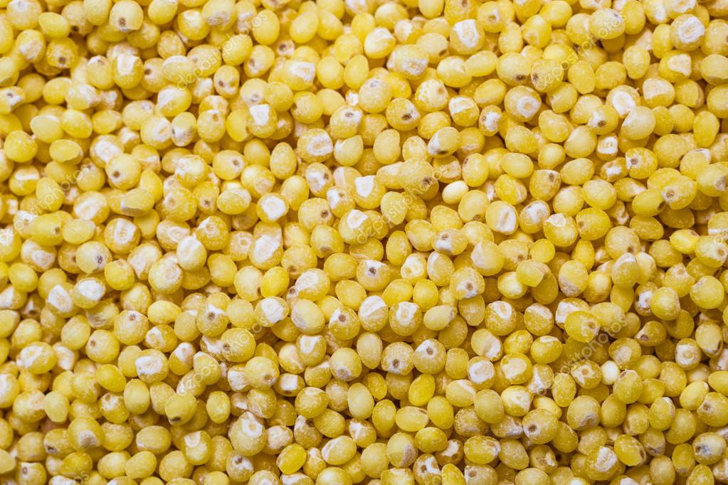 Millet groats as food background Stock Photo by 101169194