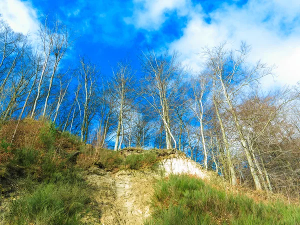 Árvores no penhasco e céu azul nublado , — Fotografia de Stock