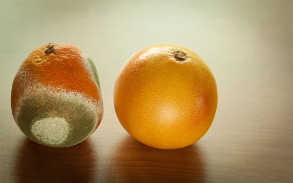 Reife und verschimmelte Grapefruit. — Stockfoto
