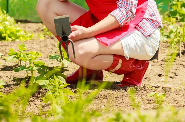 Mujer con herramienta de jardinería trabajando en el jardín — Foto de Stock