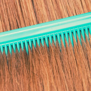 Kızıl saçlı yeşil tarak, yakın çekim.