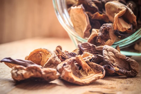 Droge champignons in pot — Stockfoto