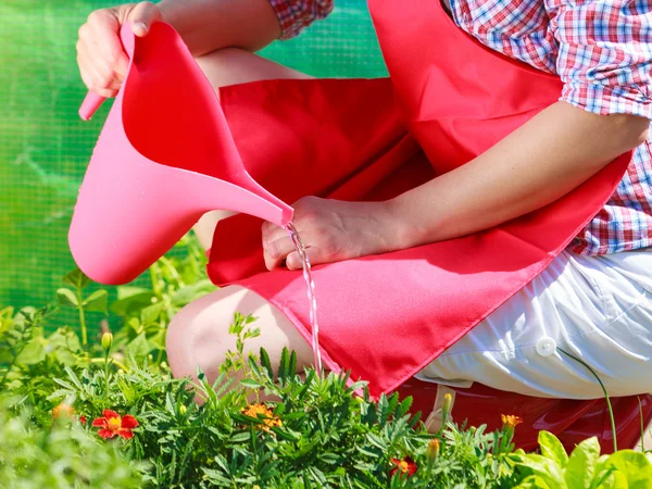 Жінка поливає рослини в саду — стокове фото