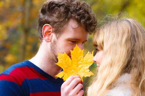 Couple with maple leaf kissing — Stock Photo, Image