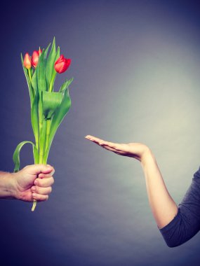 El Lale ve kopya alanı gösterilen palm.