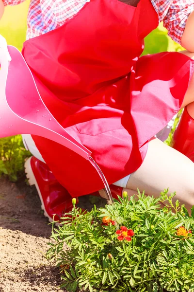Tukang kebun wanita menanam kembali bunga — Stok Foto