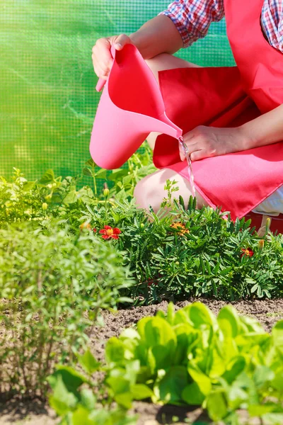 Mujer regando plantas en el jardín — Foto de Stock