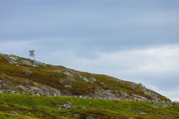 Montanhas paisagem na Noruega. — Fotografia de Stock