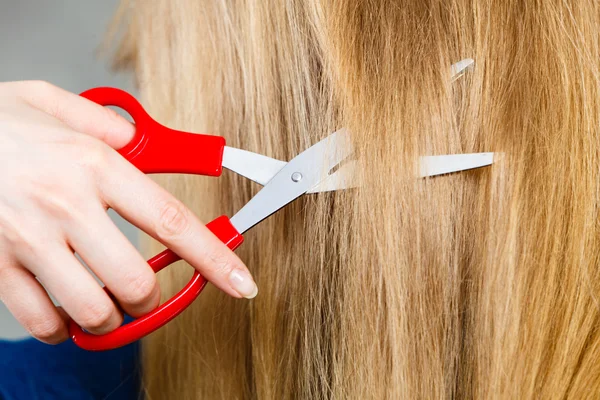 Red scissors on blonde hair. Close up. — Stock Photo, Image