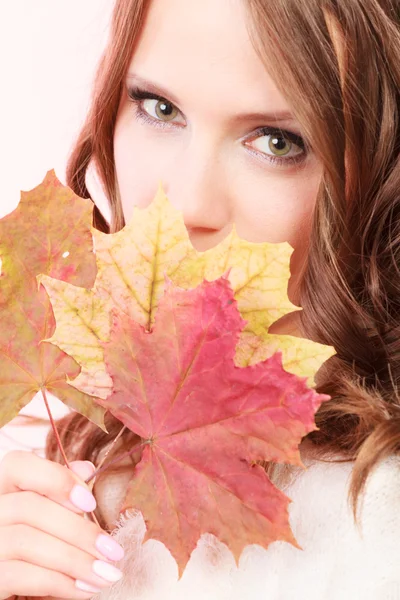 Lovely autumnal girl with maple leaves in hand Stock Image