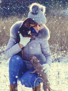 Genç bir kadın kışın eğleniyor. Kar yağarken iki küçük safkan köpek yavrusuyla oynayan dişi.