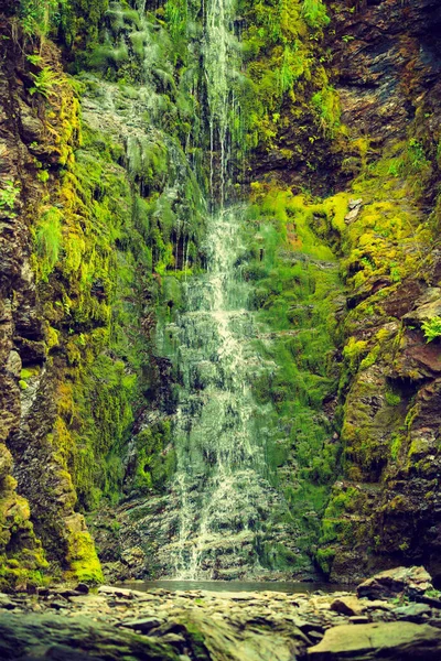 Маленький Водоспад Зелених Літніх Горах Норвегія — стокове фото