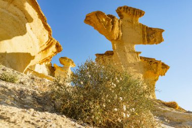 İspanya 'nın Murcia bölgesinde turistik ilgi. Büyülü şehir Bolnuevo, doğal sarı kumtaşı oluşumları.