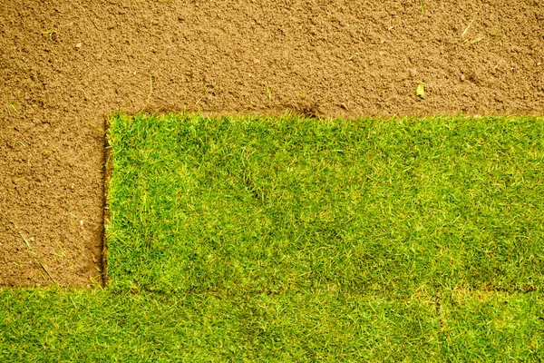 Gardening Laying Sod New Lawn Applying Turf Carpet Backyard Aerial — Stock Photo, Image