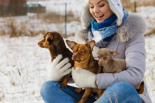 Mujer Joven Divirtiéndose Afuera Nieve Hembra Jugando Con Sus Cachorros —  Fotos de Stock