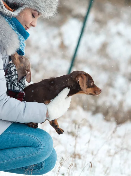 Mujer Joven Divirtiéndose Afuera Nieve Hembra Jugando Con Sus Cachorros —  Fotos de Stock