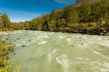 Güçlü dağ nehri, yazın Norveç doğası.