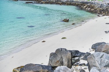 Kumlu deniz manzaralı. Lofoten takımadaları Kuzey Norveç, Avrupa.