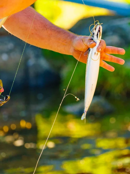 Angeln Mann Hält Fisch Der Hand — Stockfoto