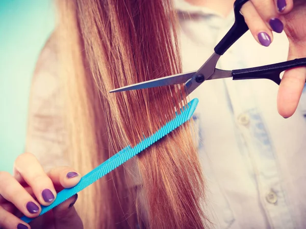 Görüntü değişikliği, yeni imaj. Genç kız tarak ve makas sunar. Kadın stilisti, işe gitmek için gerekli ekipmanı hazırlıyor. Uzun düz, sağlıklı saçları kesiyor..