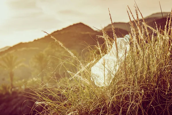 Garrafa Água Vazia Plástico Abandonada Natureza Fundo Nascer Sol Poluição — Fotografia de Stock