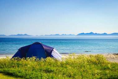 Yazın deniz kıyısında çadır. Okyanus kıyısında kamp yapmak. Lofoten takımadaları Norveç. Tatil ve seyahat.