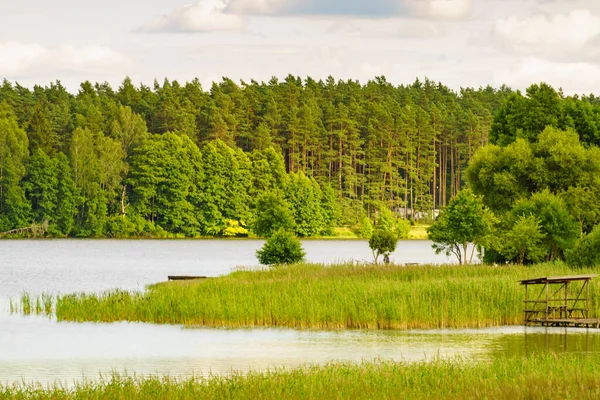 Kierwik Lengyelországi Masuria Lakeland Ben Zöld Nádakkal Benőtt Vízpart Nyári — Stock Fotó