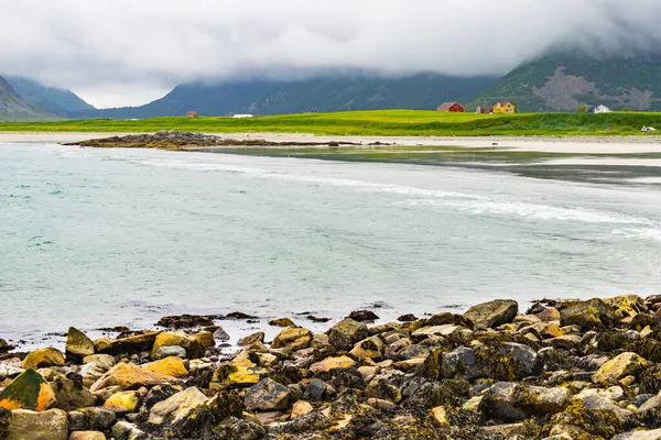 Havskust Och Skagsanden Strand Flakstadoy Nordlands Län Lofoten Norge — Stockfoto