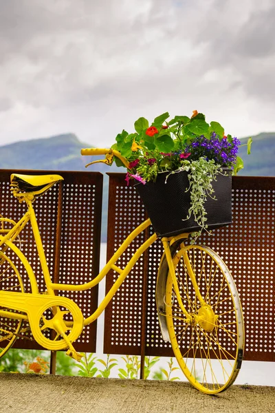 Bicicleta Velha Amarela Com Flores Cesta Como Decoração Paisagem Fiorde — Fotografia de Stock