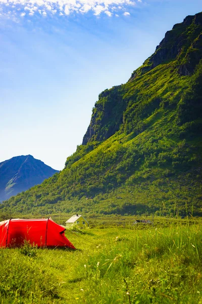 Kemping Czerwony Namiot Przyrodzie Latem Archipelag Lofoten Norwegia Wakacje Podróże — Zdjęcie stockowe