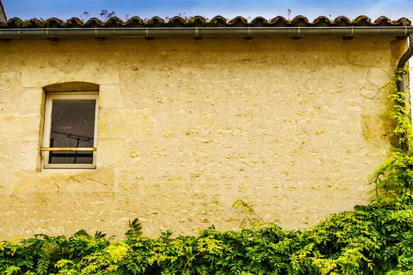 Vecchia Finestra Muro Pietra Con Pianta Verde Rampicante Dettaglio Architettura — Foto Stock
