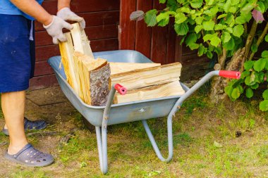 Yakacak odunlarla çalışan, el arabasından odun indiren bir adam. Kış için hazırlık.