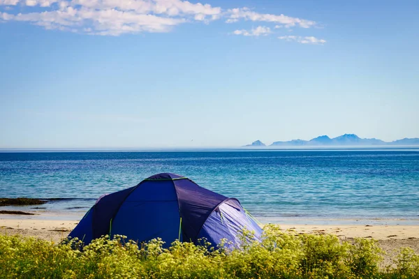 Yazın deniz kıyısında çadır. Okyanus kıyısında kamp yapmak. Lofoten takımadaları Norveç. Tatil ve seyahat.