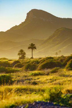 Akdeniz kıyısı manzarası, Murcia bölgesindeki İspanyol kıyı şeridi. Calblanque Bölge Parkı. Turist eğlencesi.