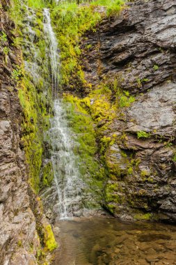 Yeşil yaz dağlarında küçük şelale, Norveç.