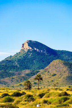 Akdeniz kıyısı manzarası, Murcia bölgesindeki İspanyol kıyı şeridi. Calblanque Bölge Parkı. Turist eğlencesi.