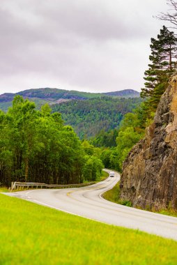 Yeşil dağlarda yol. Norveç yaz peyzaj. Norveç ulusal turist doğal rota Ryfylke.