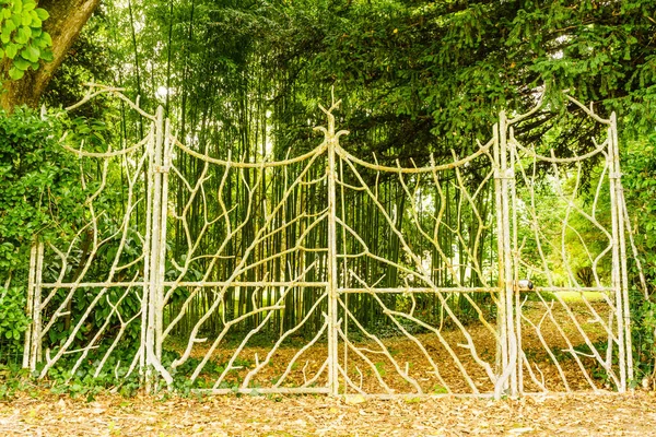 Porta Velha Entrada Metal Para Jardim Parque — Fotografia de Stock