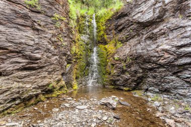 Yeşil yaz dağlarında küçük şelale, Norveç.