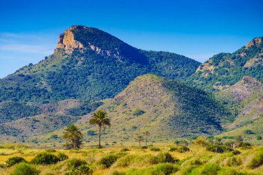 Akdeniz kıyısı manzarası, Murcia bölgesindeki İspanyol kıyı şeridi. Calblanque Bölge Parkı. Turist eğlencesi.