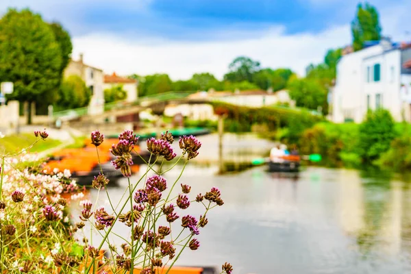 Virágok Folyó Coulon Város Háttérben Deux Sevres New Aquitaine Régió — Stock Fotó