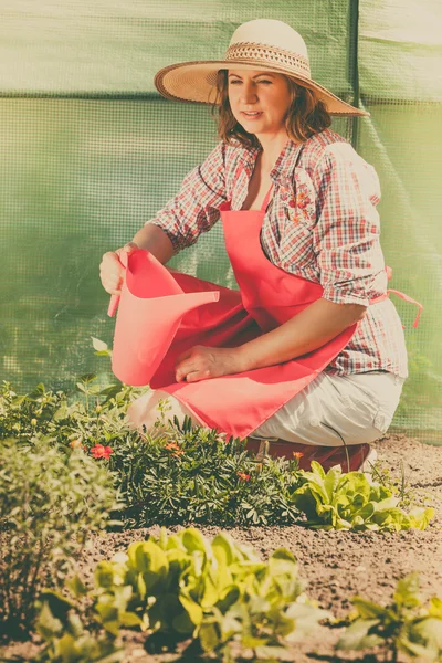 Perempuan menyiram tanaman di kebun — Stok Foto