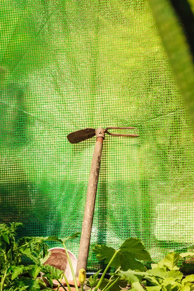 Gartenwerkzeug im Gewächshaus — Stockfoto