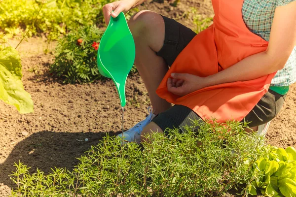 Perempuan menyiram tanaman di kebun — Stok Foto